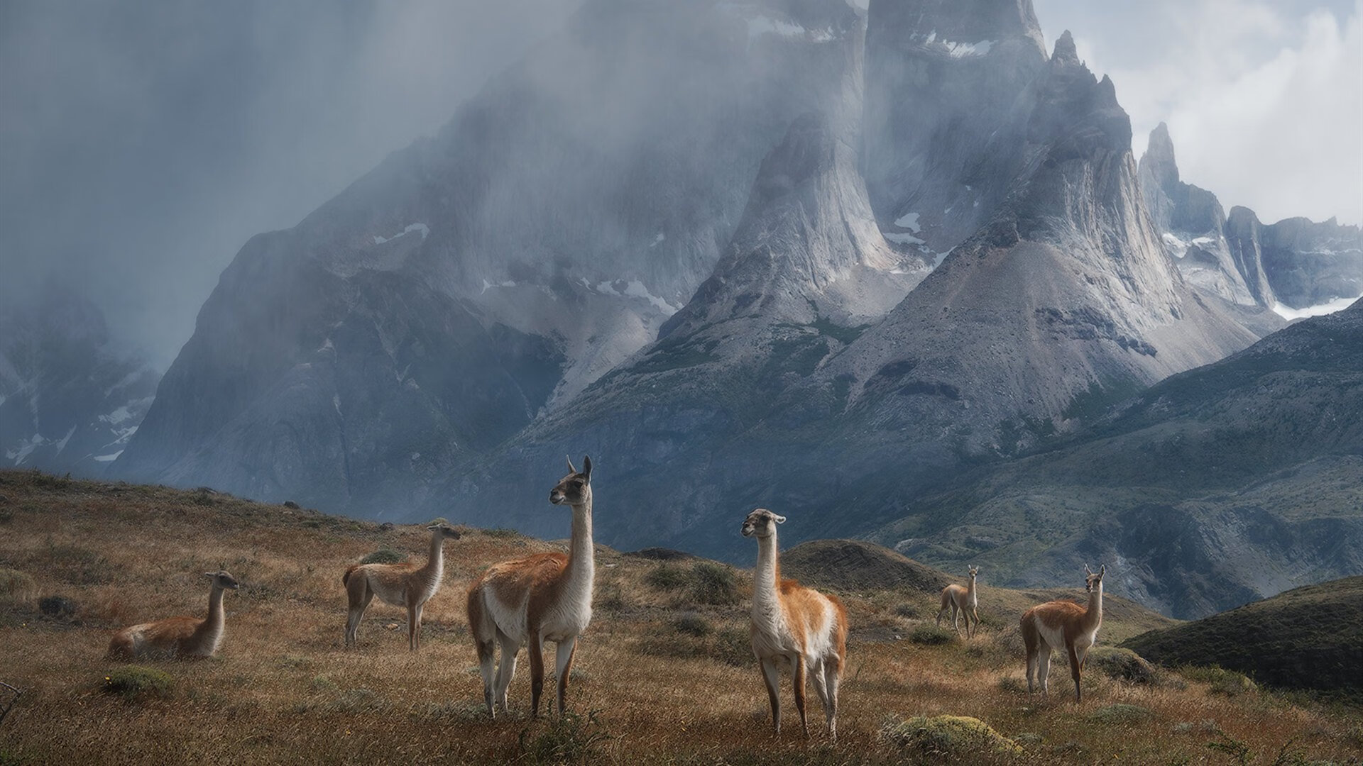 _骑士老将再展风采,助球队稳步前行_,骑士现任主教练是谁