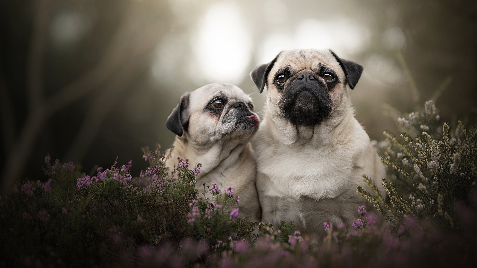 爱游戏在线登录入口-新秀崛起：他如何用汗水赢得一席之地，新秀崛起视频