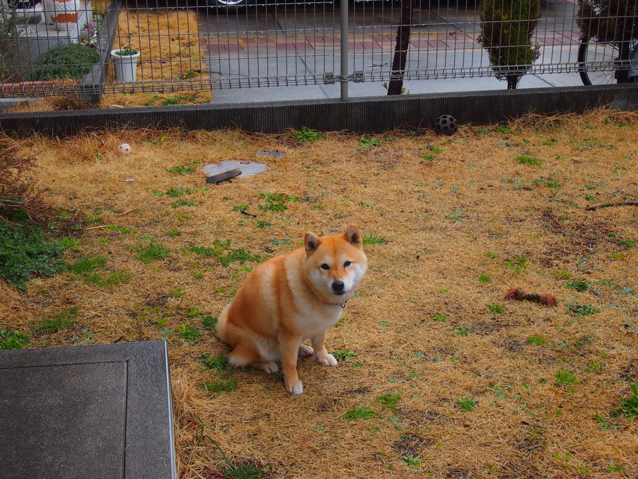 法甲争冠焦点:豪门激战,悬念还未揭晓,法甲新豪门