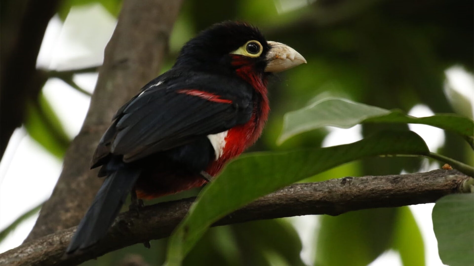 AYX体育官网-汇丰全国青少年高尔夫球冠军赛总决赛圆满落幕，2020汇丰全国青少年高尔夫冠军赛