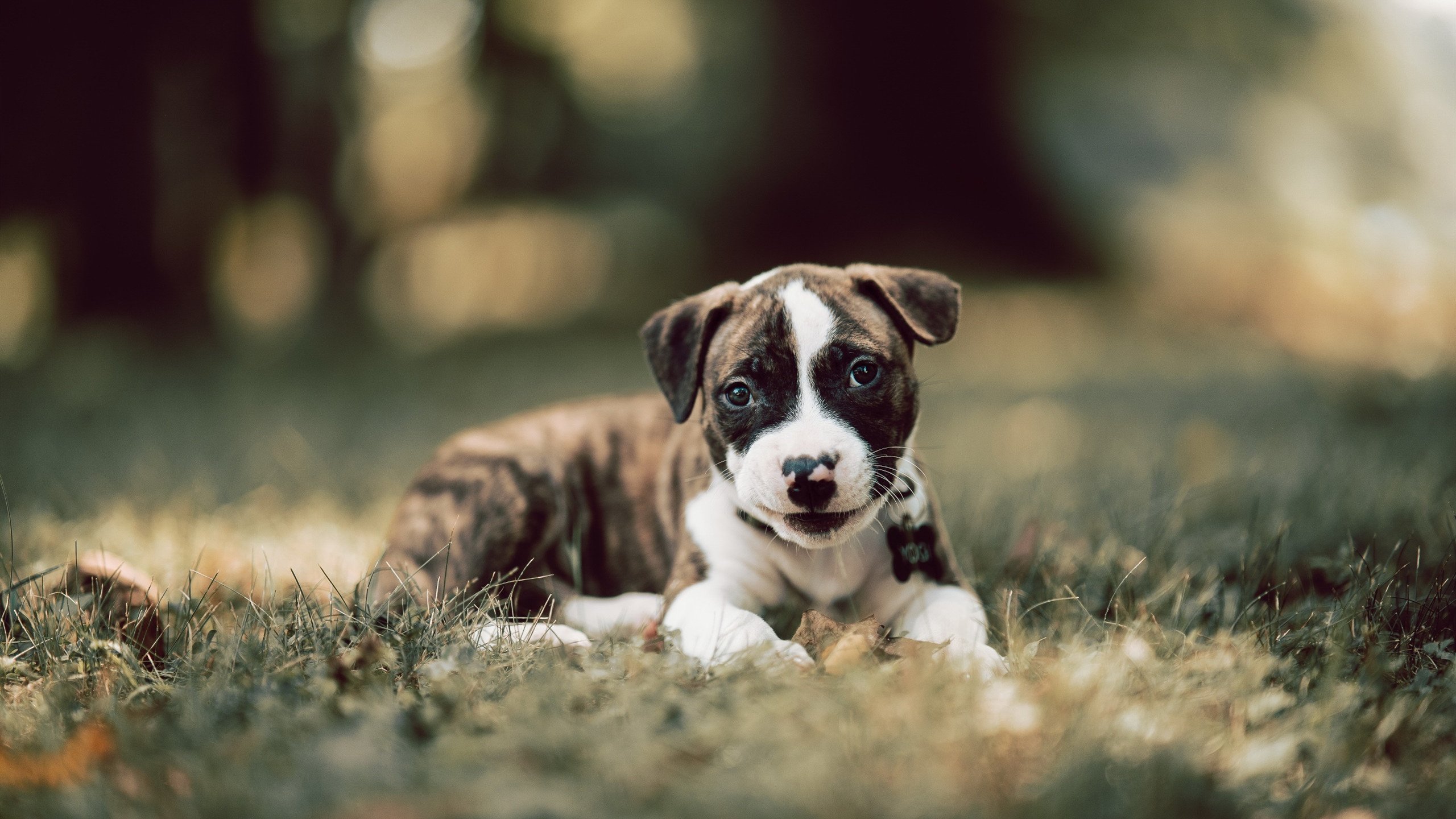 爱游戏娱乐平台-绝地求生 决赛直播观看人数创新高，绝地求生直播比赛