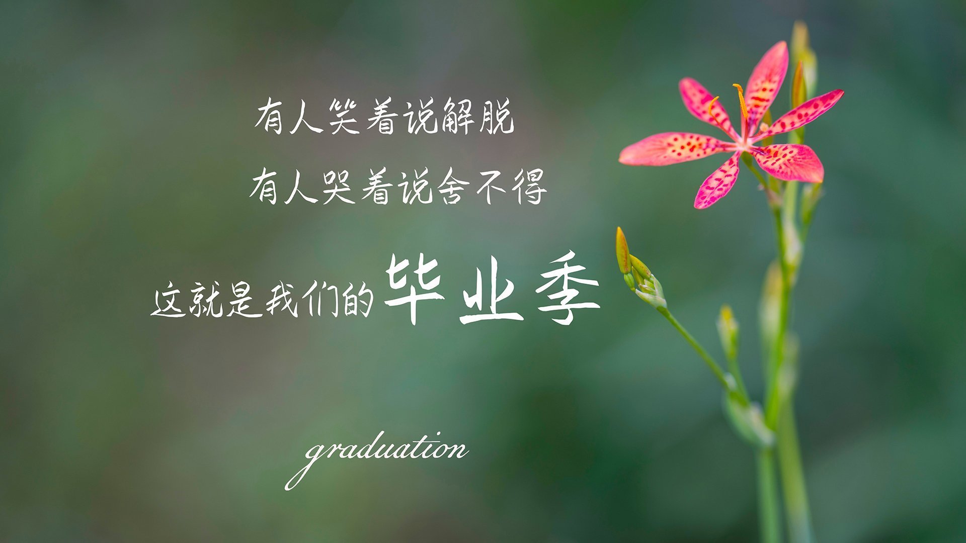 爱游戏中国官方网站平台-赛道突发状况处理：车队幕后调度全揭秘