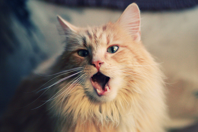 爱游戏娱乐网址-青春激荡：年轻球员引领的新风潮，青春激荡的岁月