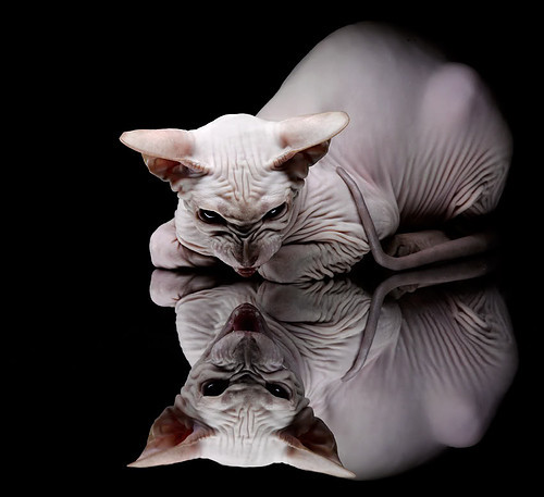 爱游戏app下载-亚非篮球新锐挑战赛收官，激情碰撞令人惊艳，亚非足球对抗赛