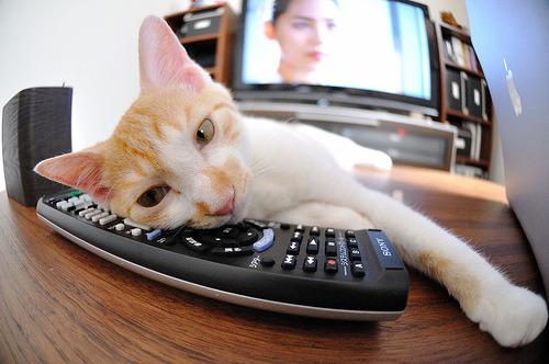 爱游戏中国官方网站平台-卡塔尔巴林世界杯预选赛开幕，球迷热情观战，2022卡塔尔世界杯巴西