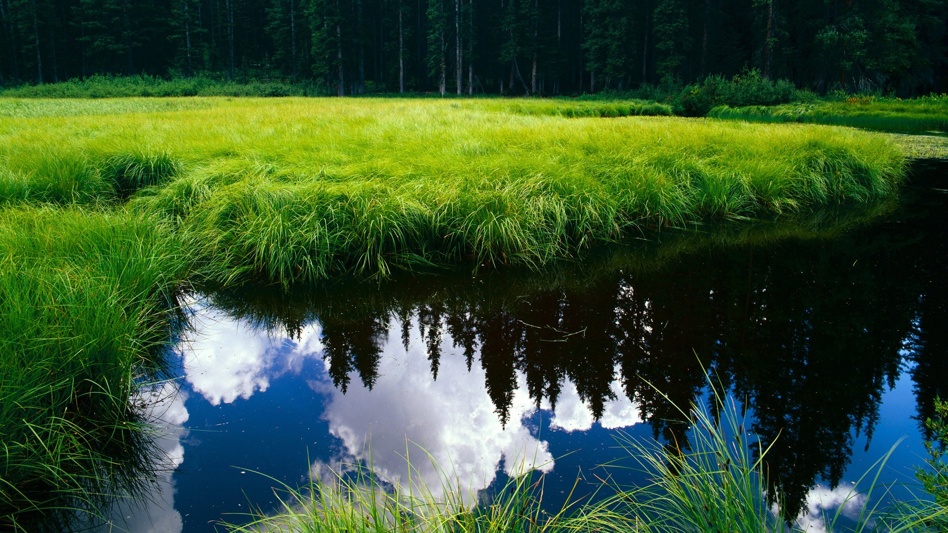 爱游戏在线登录入口-女足世界杯球队备战揭秘，女足进军世界杯