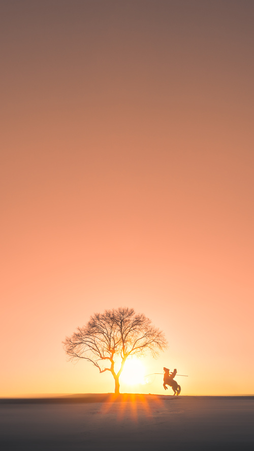 爱游戏官方-揭秘篮球防守篮板训练秘籍，防守篮板球技术包括哪几个部分