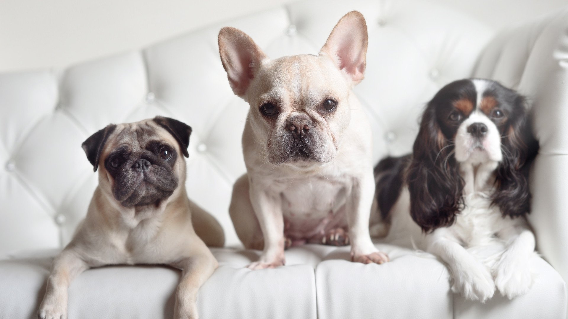 揭秘篮球防守篮板训练秘籍,防守篮板球技术包括哪几个部分