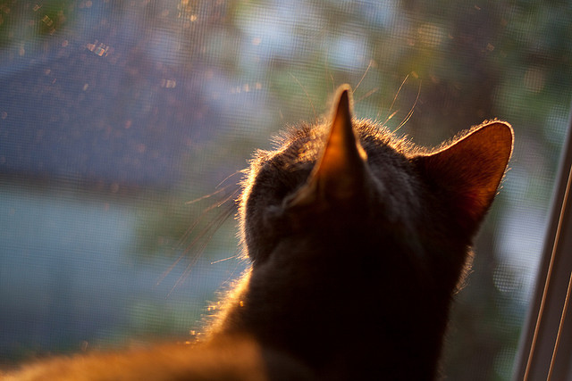 AYX体育官网-比赛垃圾时间是否应有管理机制，比赛前垃圾话