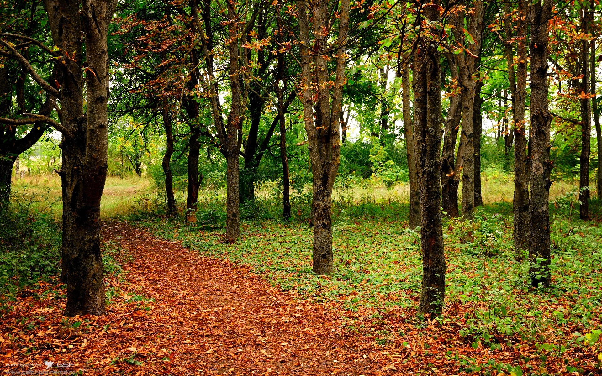 纽约巨人队在赛季中期更换主教练,纽约巨人队在赛季中期更换主教练是谁