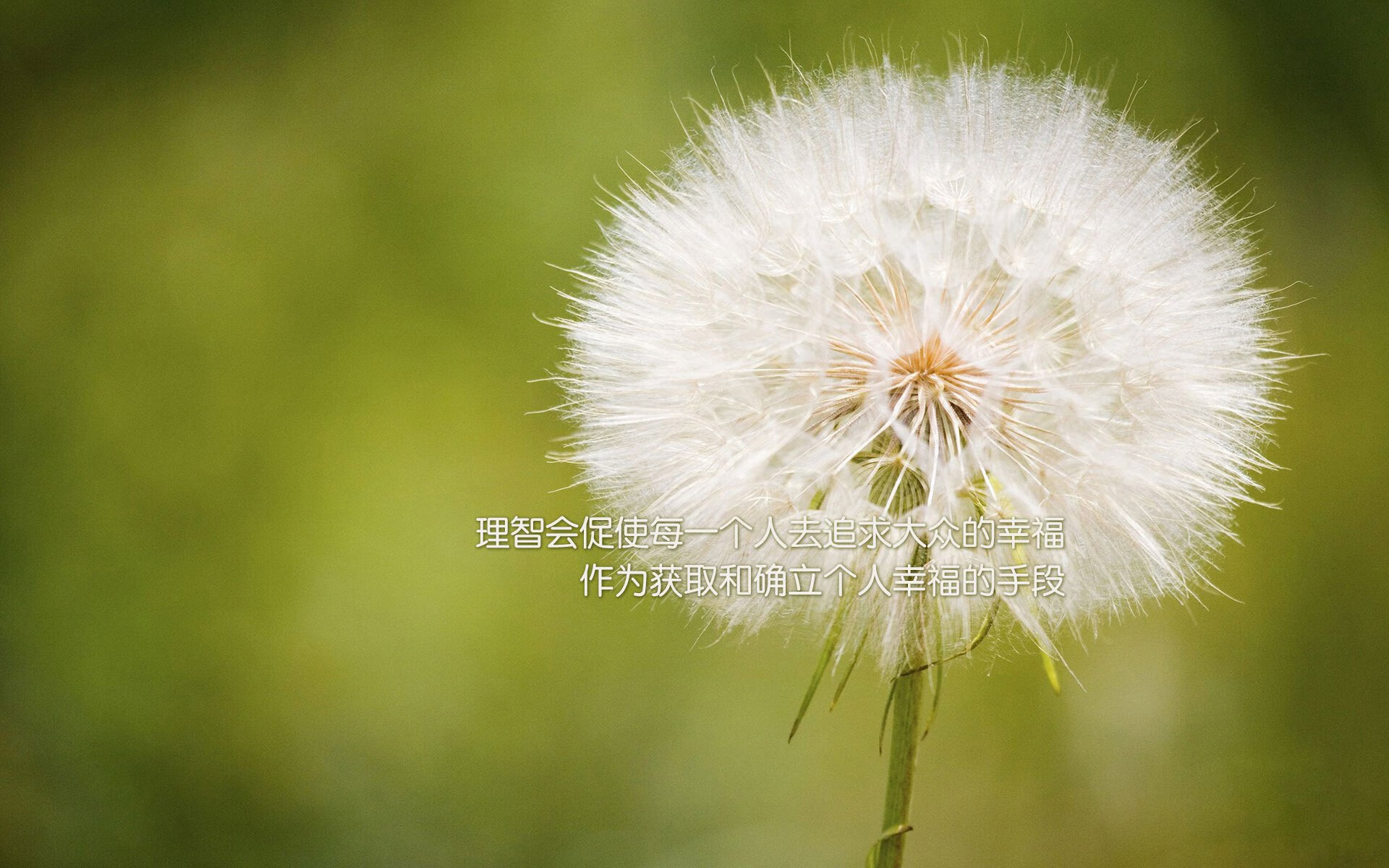 爱游戏官网-马竞中场突破射门，助球队赢得胜利，马竞中场突破射门,助球队赢得胜利