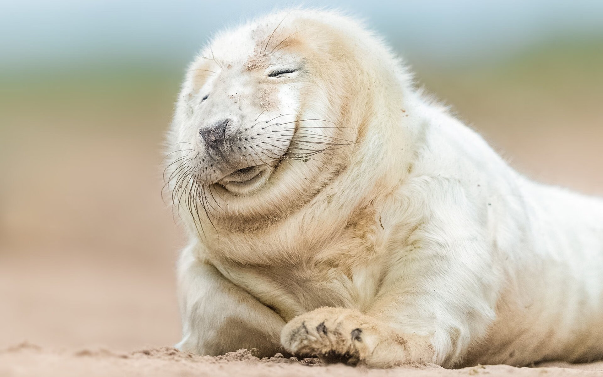 AYX GAME-CBA球队注重季后赛经验积累，cba进入季后赛的球队有什么好处