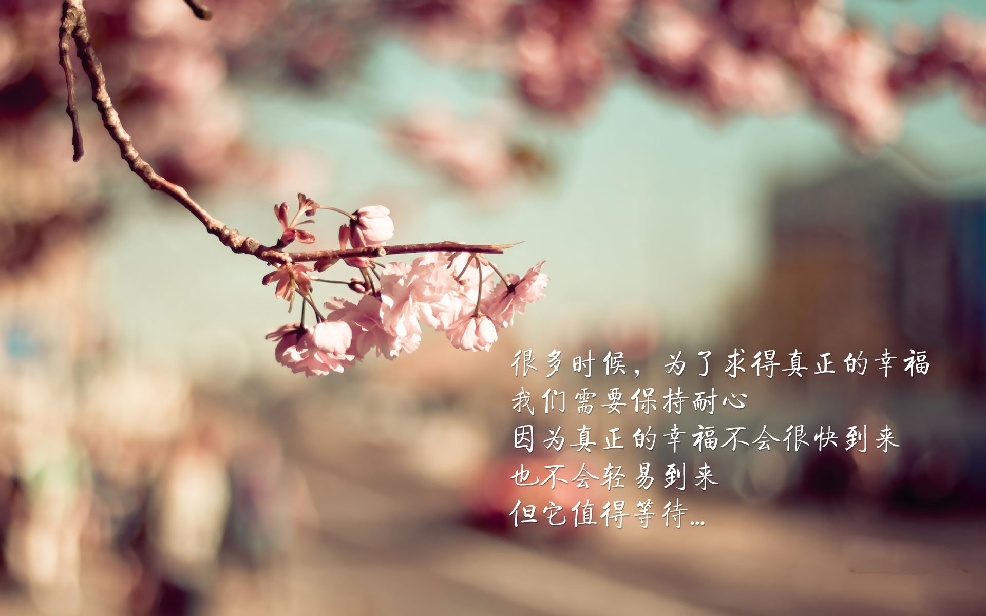 国家队战术体系缺乏灵活应变能力,国家队战术体系缺乏灵活应变能力的原因