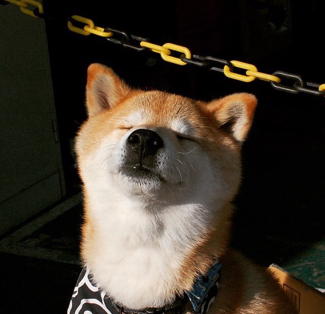 爱游戏 电竞-外教文化融入难影响团队凝聚力，外教团队对训练的要求很高