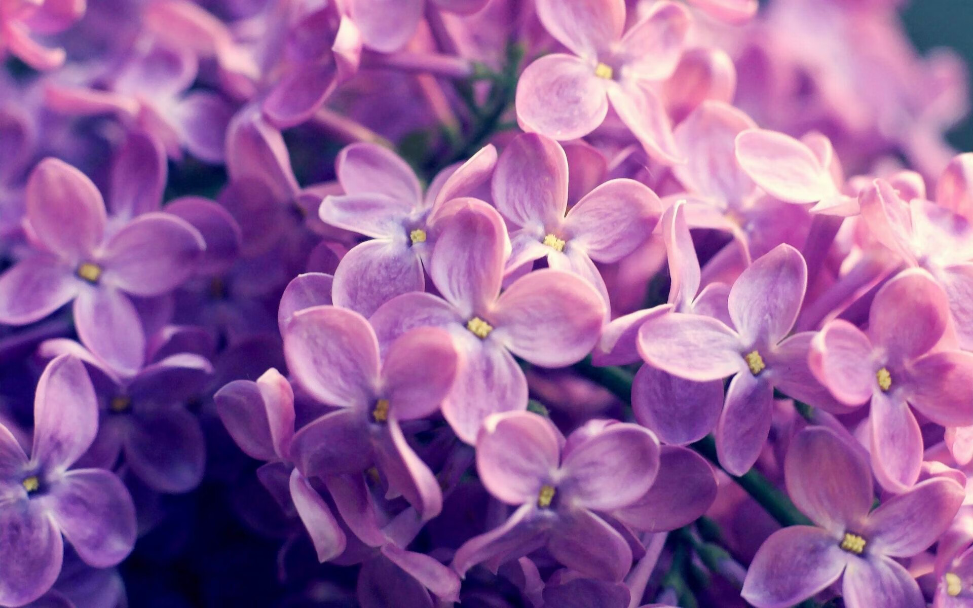 快攻推进时节奏错判是否容易导致空位浪费,快攻的阶段