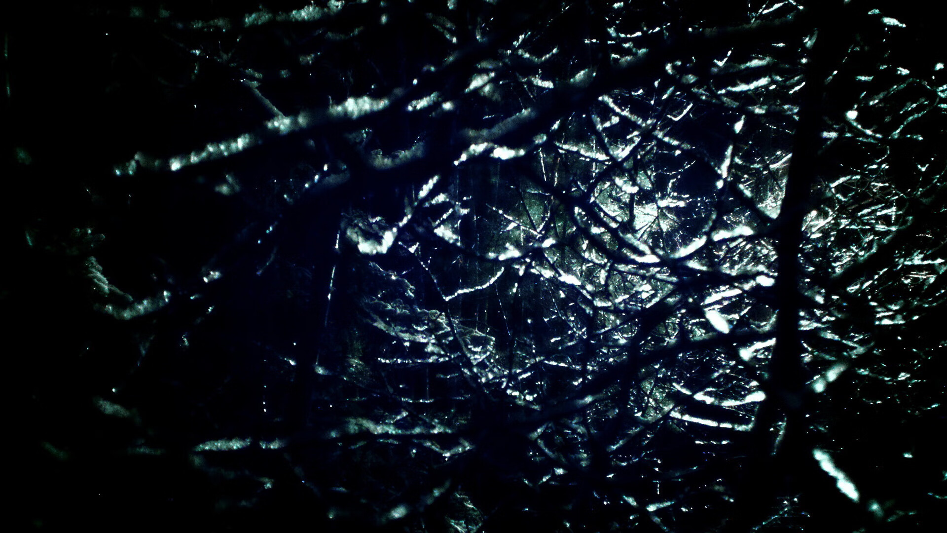 轻艇竞渡兴隆湖,运动生态两相宜