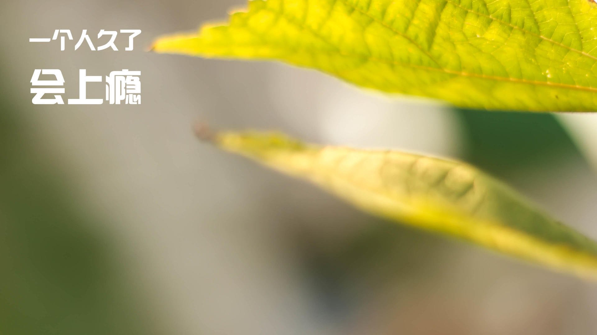 马赛高位起脚制造持续射门机会，马赛回旋动作分解图