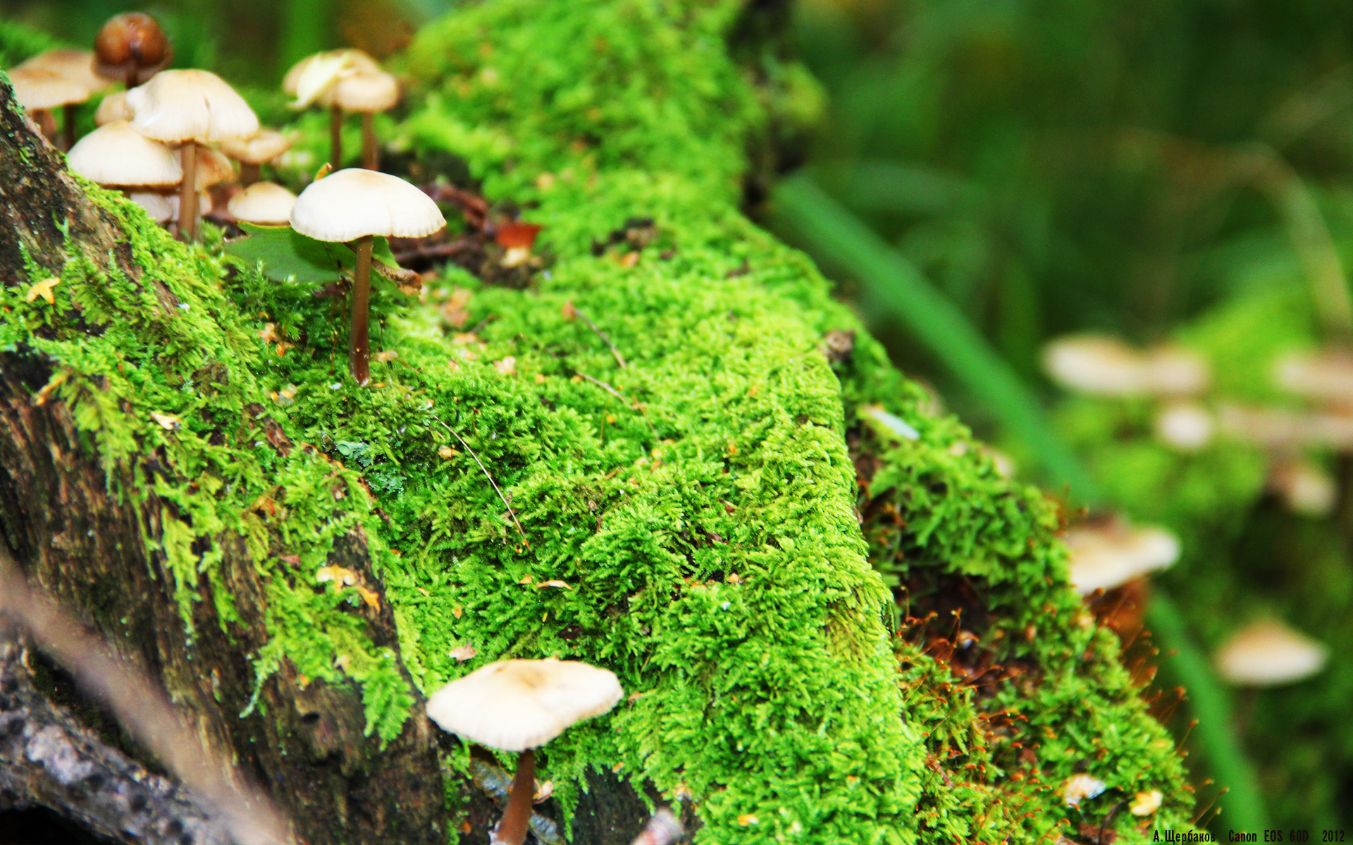 中乙联赛设立裁判互评机制提升执法专业度，中乙裁判一年能有多少收入