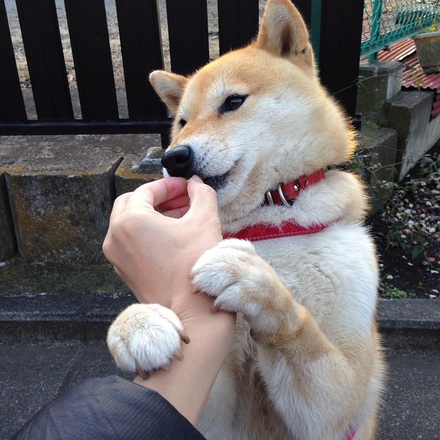 中国足球职业联赛外援政策调整影响分析,中国足球联赛外援规则