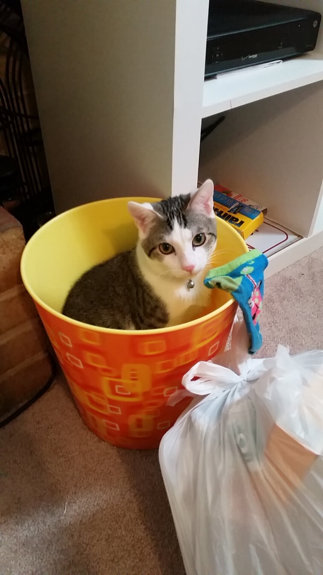 爱游戏中国官方登录入口网站-体育心理学助力运动员突破瓶颈，体育心理学在训练和竞技比赛中的应用