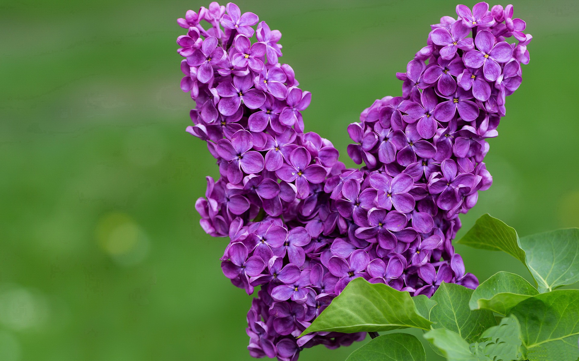 爱游戏官网-水球比赛中立代表队A防守反击有章法，水球比赛中球最多在手中停留多少秒